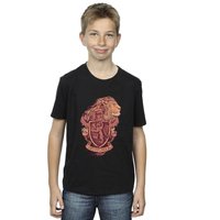 Harry Potter Boy's Gryffindor Sketch Crest T-Shirt in Black | Size: 3-4 Years