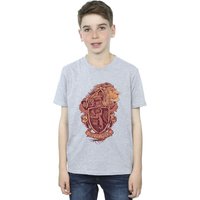 Harry Potter Boy's Gryffindor Sketch Crest T-Shirt in Grey | Size: 12-13 Years