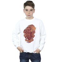 Harry Potter Boy's Gryffindor Sketch Crest Sweatshirt in White | Size: 3-4 Years