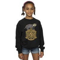 Harry Potter Girl's Hufflepuff Sketch Crest Sweatshirt in Black | Size: 7-8 Years