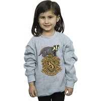 Harry Potter Girl's Hufflepuff Sketch Crest Sweatshirt in Grey | Size: 7-8 Years