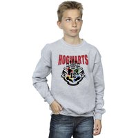 Harry Potter Boy's Hogwarts Emblem Sweatshirt in Grey | Size: 12-13 Years