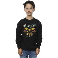 Harry Potter Boy's Quidditch Bludgers Quaffles Sweatshirt in Black | Size: 9 Years