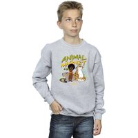 Disney Boy's Encanto Animal Magnet Sweatshirt in Grey | Size: 12-13 Years