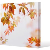 Benjamin Tate Design Autumn Leaves (Canvas Print) / 46 x 46 x 4cm in Natural | Size: 46 x 46 x 4 cm