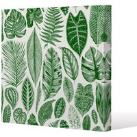 Benjamin Tate Design Leaves Mixed (Canvas Print) / 61 x 61 x 4cm in Natural | Size: 61 x 61 x 4 cm