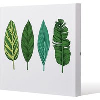 Benjamin Tate Design Four Leaves (Canvas Print) / 127 x 127 x 4cm in Natural | Size: 127 x 127 x 4 cm