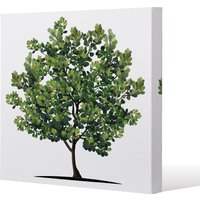Benjamin Tate Design Tree (Canvas Print) / 77 x 77 x 4cm in Natural | Size: 77 x 77 x 4 cm