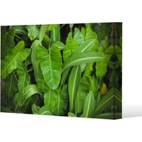 Benjamin Tate Design Abstract background of dark green leaves (Canvas Print) / 61 x 41 x 4cm in Natural | Size: 61 x 41 x 4 cm