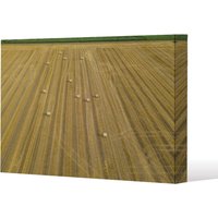 Benjamin Tate Design straw bales of wheat lying on harvested field (Canvas Print) / 77 x 51 x 4cm in Natural | Size: 77 x 51 x 4 cm