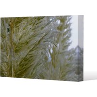 Benjamin Tate Design autumn pampas grass close up (Canvas Print) / 61 x 91 x 4cm in Natural | Size: 61 x 91 x 4 cm