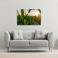 Benjamin Tate Design corn & sun close up (Canvas Print) / 46 x 31 x 4cm in Natural | Size: 46 x 31 x 4 cm
