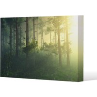 Benjamin Tate Design sun, trees in a haze of light, glowing fog among the trees (Canvas Print) / 152 x 101 x 4cm in Natural | Size: 152 x 101 x 4 cm