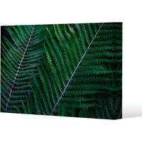Benjamin Tate Design green leaves, abstract flora texture (Canvas Print) / 127 x 101 x 4cm in Natural | Size: 127 x 101 x 4 cm