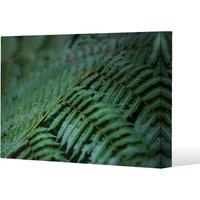 Benjamin Tate Design green leaves pattern & texture at Indonesia (Canvas Print) / 61 x 91 x 4cm in Natural | Size: 61 x 91 x 4 cm