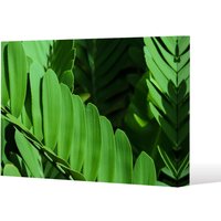 Benjamin Tate Design Natural dark green leaves, long slender green leaves (Canvas Print) / 152 x 101 x 4cm | Size: 152 x 101 x 4 cm