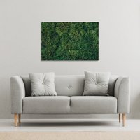 Benjamin Tate Design Natural green moss (Canvas Print) / 31 x 41 x 4cm | Size: 31 x 41 x 4 cm