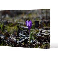 Benjamin Tate Design autumn flower bloom in nature (Canvas Print) / 101 x 77 x 4cm in Natural | Size: 101 x 77 x 4 cm