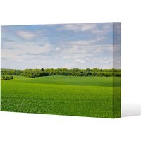 Benjamin Tate Design Summer landscape with hilly green field & forest in the distance (Canvas Print) / 77 x 51 x 4cm in Natural | Size: 77 x 51 x 4 cm