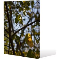Benjamin Tate Design leaves & branches (Canvas Print) / 127 x 101 x 4cm in Natural | Size: 127 x 101 x 4 cm