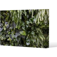 Benjamin Tate Design urban jungle, modern interior decoration (Canvas Print) / 101 x 77 x 4cm in Natural | Size: 101 x 77 x 4 cm