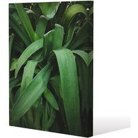 Benjamin Tate Design Atmospheric background, Selective focus (Canvas Print) / 46 x 31 x 4cm in Natural | Size: 46 x 31 x 4 cm