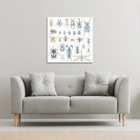 Benjamin Tate Design many species in vintage old hand drawn style (Canvas Print) / 101 x 101 x 4cm in Natural | Size: 101 x 101 x 4 cm