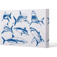Benjamin Tate Design Graphical set of blue sharks isolated on white background (Canvas Print) / 127 x 101 x 4cm in Natural | Size: 127 x 101 x 4 cm