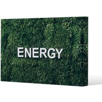 Benjamin Tate Design Wellness Energy (Canvas Print) / 46 x 31 x 4cm in Natural | Size: 46 x 31 x 4 cm