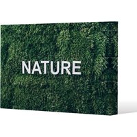 Benjamin Tate Design Wellness Nature (Canvas Print) / 61 x 91 x 4cm in Natural | Size: 61 x 91 x 4 cm