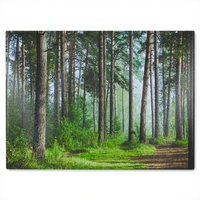 Benjamin Tate Design Beautiful summer forest with different trees Designer Glass Chopping Board in Natural