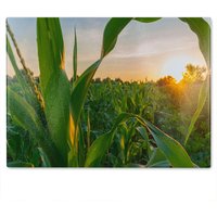 Benjamin Tate Design Corn & sun close up Designer Glass Chopping Board in Natural