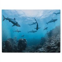 Benjamin Tate Design Schooling SharksWestern Australia Designer Glass Chopping Board in Natural