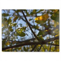 Benjamin Tate Design leaves & branches Designer Glass Chopping Board in Natural