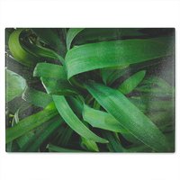 Benjamin Tate Design Atmospheric background, Selective focus Designer Glass Chopping Board in Natural