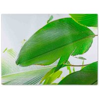Benjamin Tate Design Green Leaf Glass Chopping Board in Natural