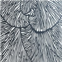 Benjamin Tate Design Design with natural analogues texture Designer Splash Back