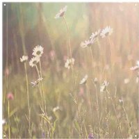 Benjamin Tate Design Chamomile Splash Back in Natural