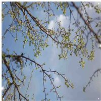 Benjamin Tate Design Tree Branches Sky Splash Back in Natural