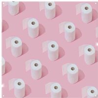 Benjamin Tate Design Toilet Rolls Splash Back in Natural
