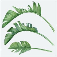 Benjamin Tate Design Triple Botanical Splash Back in Natural