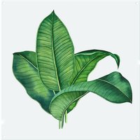 Benjamin Tate Design Bunched Leaves Splash Back in Natural