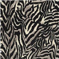 Benjamin Tate Design Gold Zebra Print Splash Back in Natural