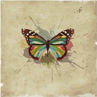 Benjamin Tate Design Butterfly & Paint Splats Splash Back in Natural