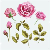 Benjamin Tate Design Roses & Leaves Splash Back in Natural