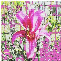 Benjamin Tate Design Pink Flower Splash Back in Natural