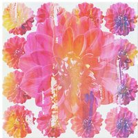 Benjamin Tate Design Blossom Splash Back in Natural