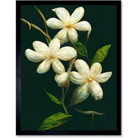 Artery8 Wall Art Print Jasmine Flower Blooms Realism Painting With Black Art Framed | Size: W12" x H16"