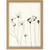 Artery8 Stylish Flower Illustration Line Drawing With Black Ink Artwork Framed Wall Art Print A4 in Light Oak