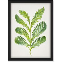 Artery8 Royal Fern Leaf Modern Watercolour Botanical Artwork Framed Wall Art Print A4 in Black